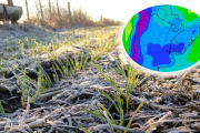 El frío polar y las heladas extendidas se mantendrían hasta inicios de julio en la región núcleo