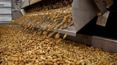En Argentina: el cultivo que lidera un ranking mundial y aportó más de US$ 1.100 millones al país