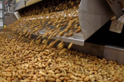 En Argentina: el cultivo que lidera un ranking mundial y aportó más de US$ 1.100 millones al país