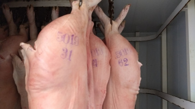El precio del cerdo cerró julio con bajas del 7%