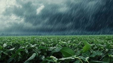 Alerta amarilla por fuertes tormentas para la noche y madrugada del domingo