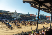 Esperan negocios por más de USD 1.100 millones en la Expo Rural 2025