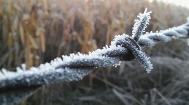 Las heladas tempranas sumaron incertidumbre para el maíz, el maní y el sorgo en La Pampa