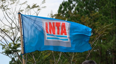 La Justicia ordenó al Gobierno dar marcha atrás con los 300 despidos en el INTA