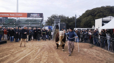 Llegó el primer toro a la Expo Rural 2025