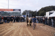 Llegó el primer toro a la Expo Rural 2025