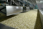 Ni soja, ni maíz: El cultivo que bate récords y le traerá a la Argentina un aluvión de dólares