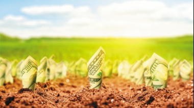 El crédito para el agro se pinta de verde: los préstamos en dólares crecieron 133% en un año