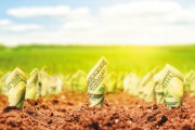 El crédito para el agro se pinta de verde: los préstamos en dólares crecieron 133% en un año