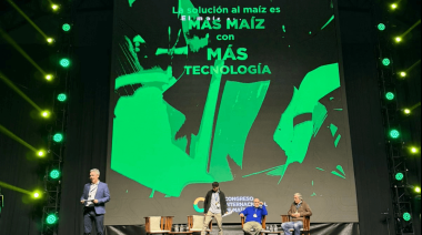 En el corazón de la Pampa semiárida, La Luna alumbró un logro inesperado en el maíz: hasta 85 qq/ha
