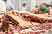 Dirigentes rurales acusan al SENASA de priorizar intereses económicos y políticos, mientras siguen frenadas las exportaciones a Chile