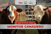 Información sobre indicadores, precios, exportación y una lectura de la macroeconomía y su efecto sobre el mercado ganadero.