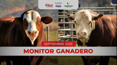 Información sobre indicadores, precios, exportación y una lectura de la macroeconomía y su efecto sobre el mercado ganadero.