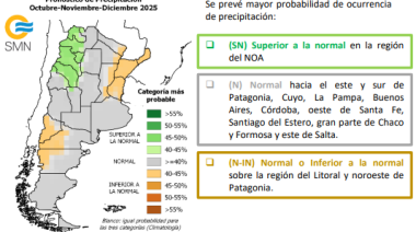 Buena noticia para el campo: no se esperan lluvias excesivas hasta diciembre
