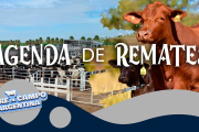 AGENDA DE REMATES 🐂