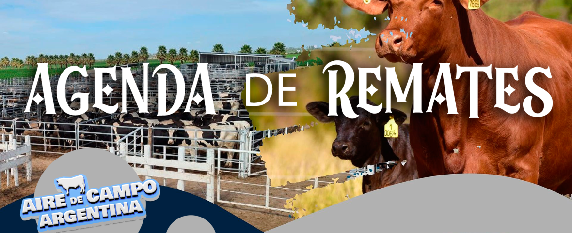AGENDA DE REMATES 🐂