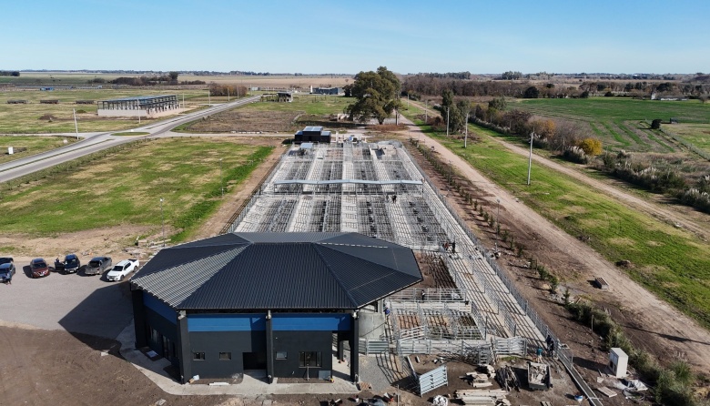 480 reproductores participarán de la Expo Angus de Primavera