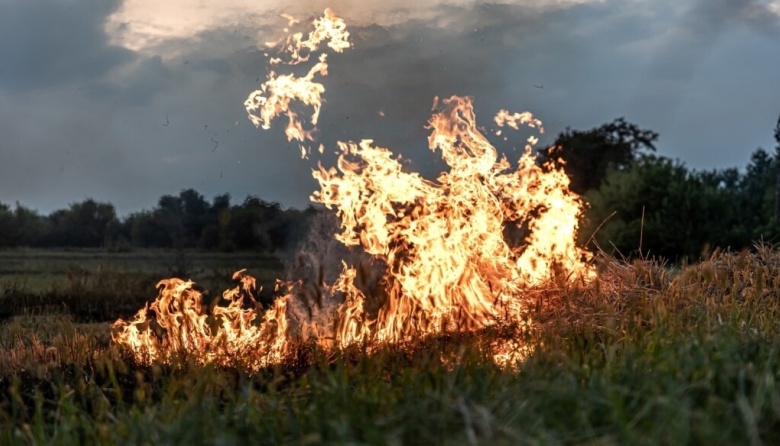 Manejo del fuego: Buenos Aires regulará las quemas, con sanciones a quienes no pidan autorización