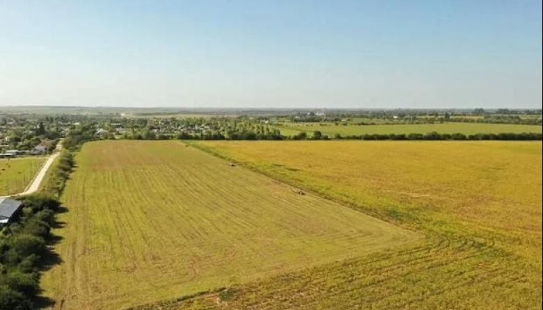 Cuánto vale una hectárea de campo y cuáles son las perspectivas para el
