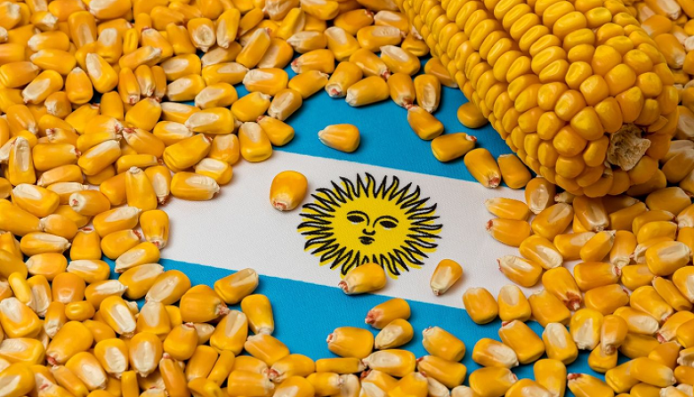 Argentina gana terreno en el mercado global de maíz