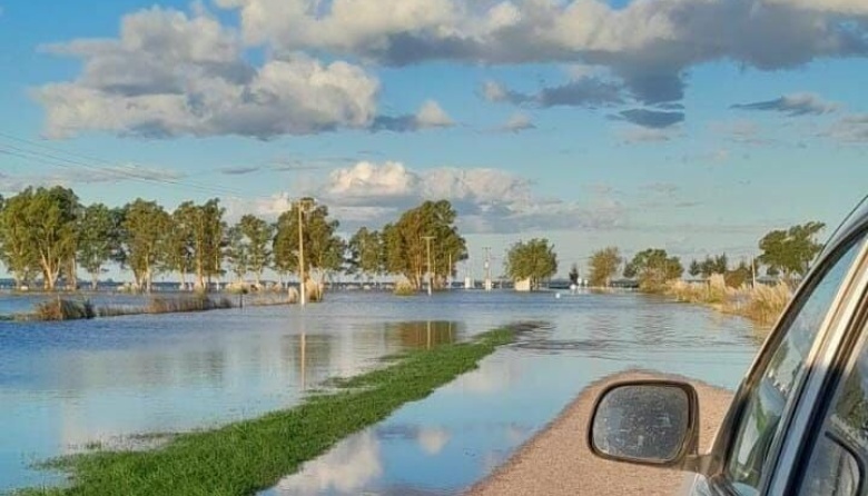 Bahía Blanca: desesperación, la difícil situación de los campos de la zona