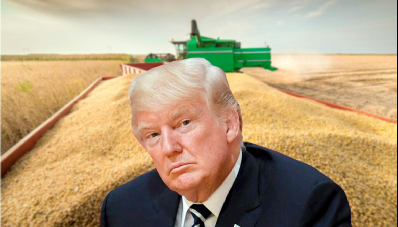 Los aranceles de Donald Trump podrían tener un impacto moderado: la mirada de las empresas argentinas