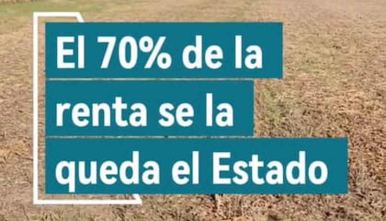 “Siete de cada diez camiones van para el Estado”: el máximo dirigente de una entidad del agro alertó sobre el peso de los impuestos