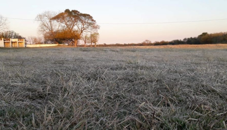 Pronostican un invierno con temperaturas variables y escasas lluvias