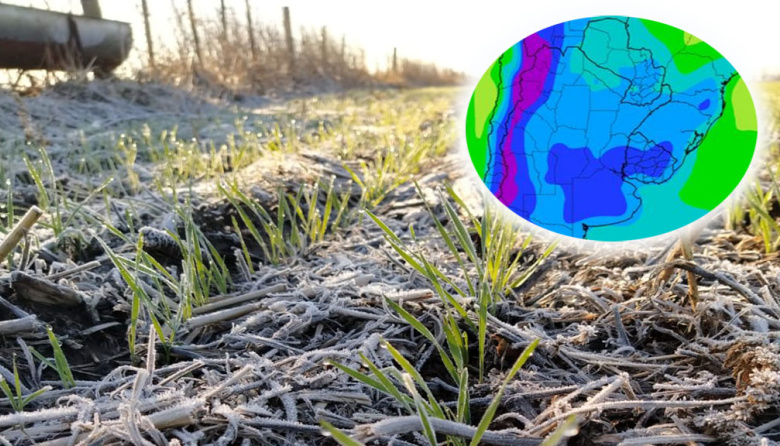 El frío polar y las heladas extendidas se mantendrían hasta inicios de julio en la región núcleo