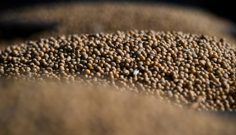 La oportunidad del agro: qué debe hacer Argentina para reducir la brecha con Brasil y Estados Unidos para 2035