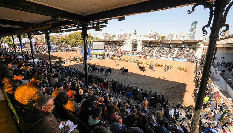 Las mejores terneras Angus fueron consagradas en Palermo