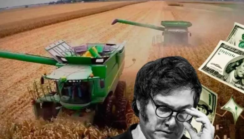 La baja de retenciones tendría un costo fiscal de 0,2% del PBI pero aseguran que el impacto en la producción será acotado