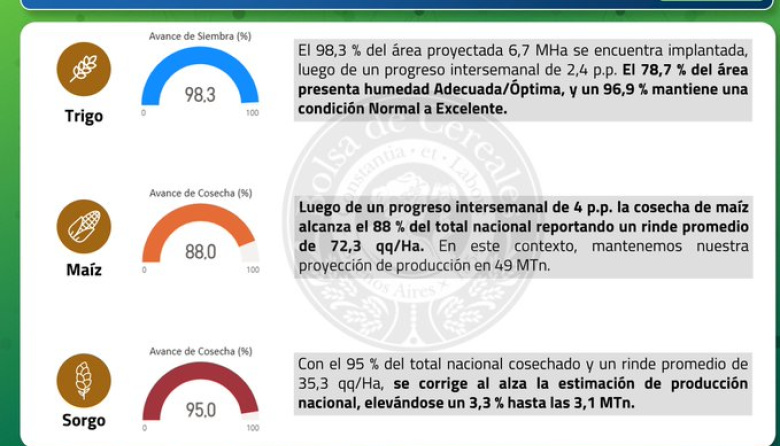 El sorgo, otro exponente de una cosecha que termina mejor de lo esperado