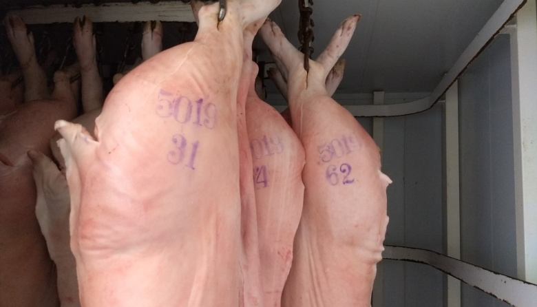 El precio del cerdo cerró julio con bajas del 7%