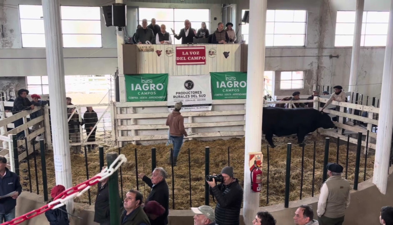 Las super ventas de Bordeu 2025 en nuestra cobertura especial