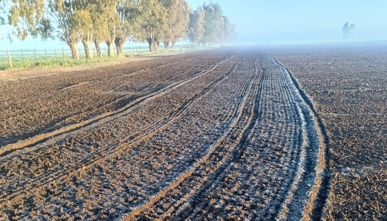 Amanecer helado: Bahía aparece entre las ciudades con la temperatura más baja