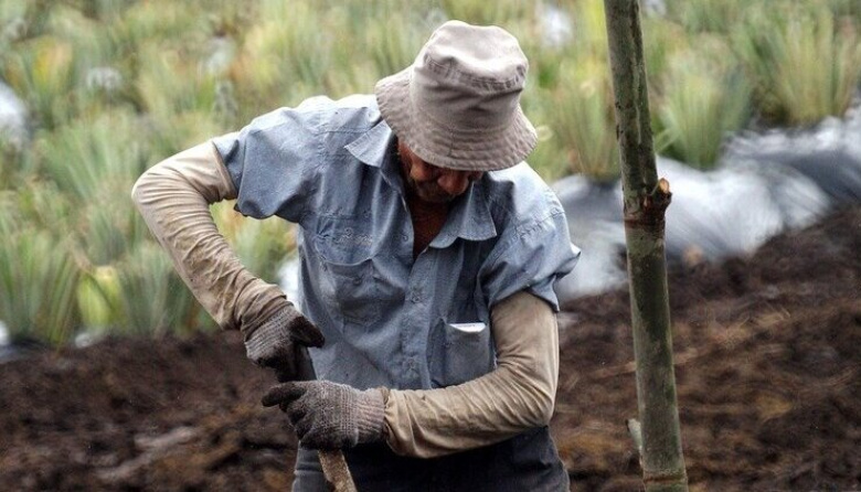 La reforma laboral de Milei: las claves del proyecto que incluye cambios en la Ley de Trabajo Agrario