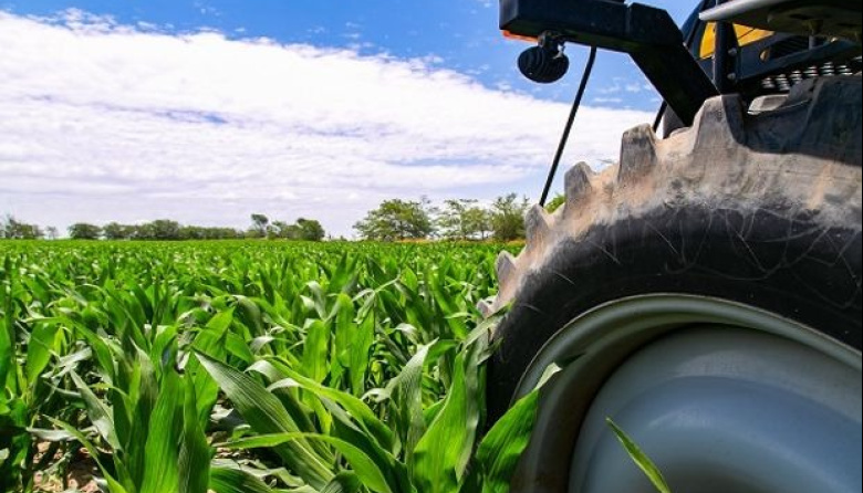 El maíz lidera el consumo de fertilizantes en Argentina