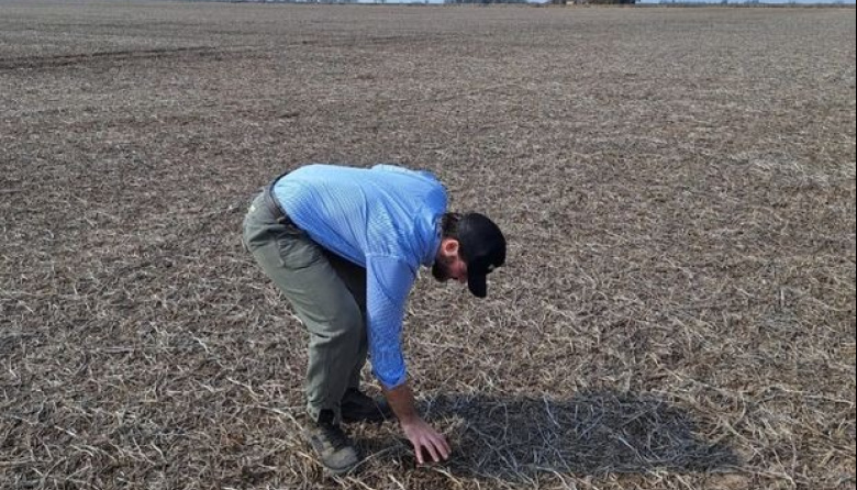 Eficiencia y rentabilidad: el desafío del productor ante los altos costos financieros