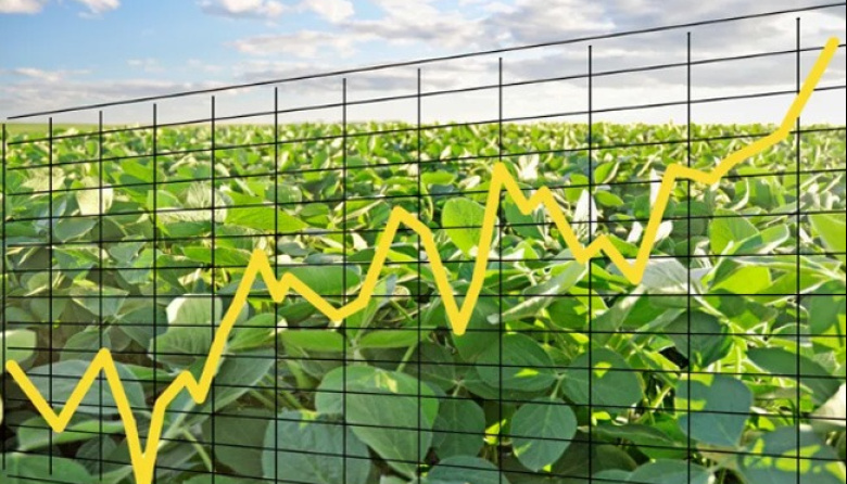 ¿Puede la soja alcanzar los 500 dólares en Chicago?