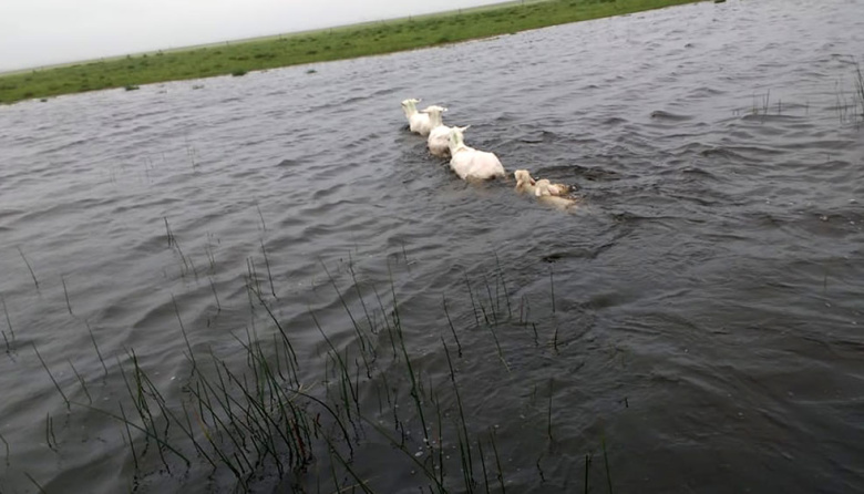 Las inundaciones podrían generar pérdidas por más de 2.400 mill/dol en Buenos Aires