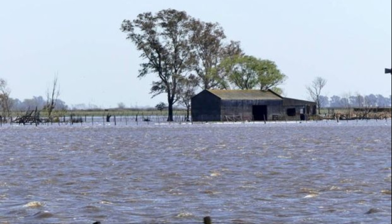 Emergencia agropecuaria por inundaciones: prorrogan la medida hasta febrero en Buenos Aires