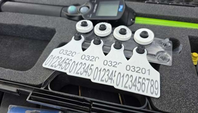 La ganadería argentina ingresa en un punto de inflexión a partir del 1 de enero