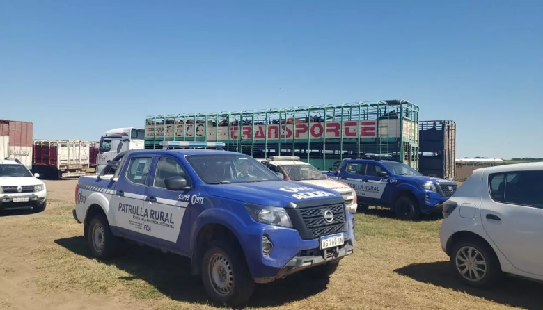 Recuperaron mil vacunos relacionados a una estafa, a través de un oficio judicial de La Pampa