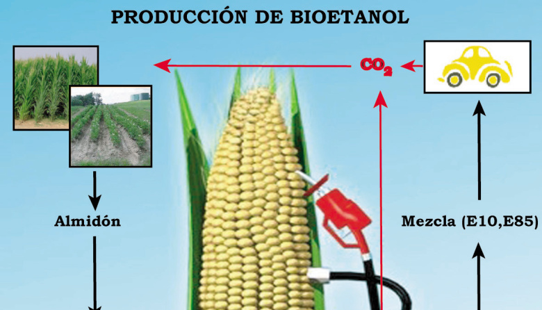 Argentina ahorró más de 600 M de dólares por el uso de bioetanol