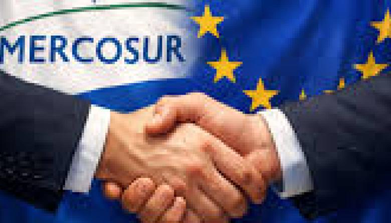 Víctor Tonelli: “Para la ganadería y la carne, el acuerdo Mercosur–Unión Europea trae más buenas noticias que dudas”