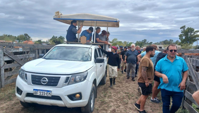 Un lote de terneros hizo más de 8000 pesos el kilo!