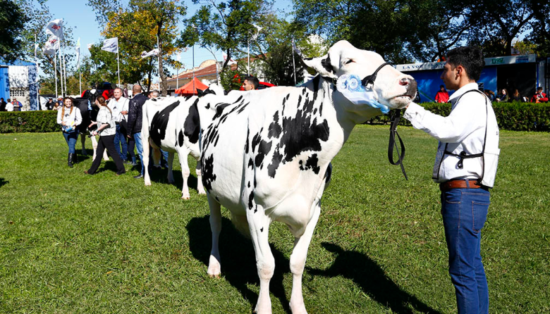 Notable interés internacional por TodoLáctea 2026