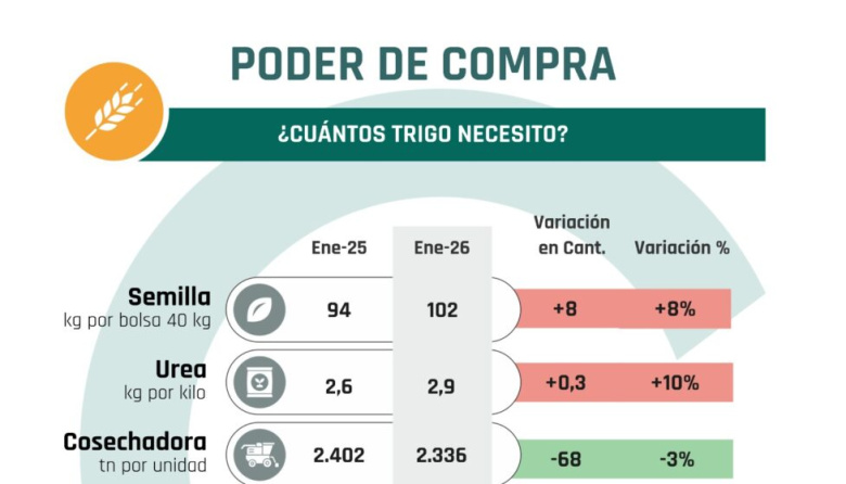 Baja en los precios del trigo: deteriora su poder de compra frente a los principales costos de producción