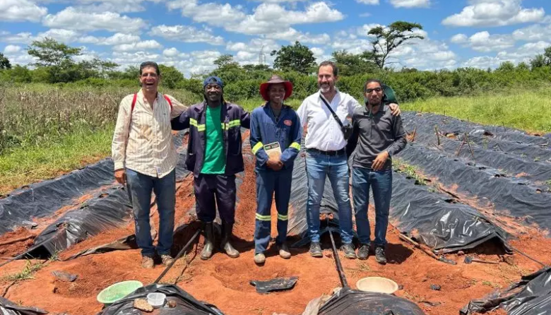 INTA informa: Investigadores argentinos aportan tecnología al cultivo de tomate en Mozambique